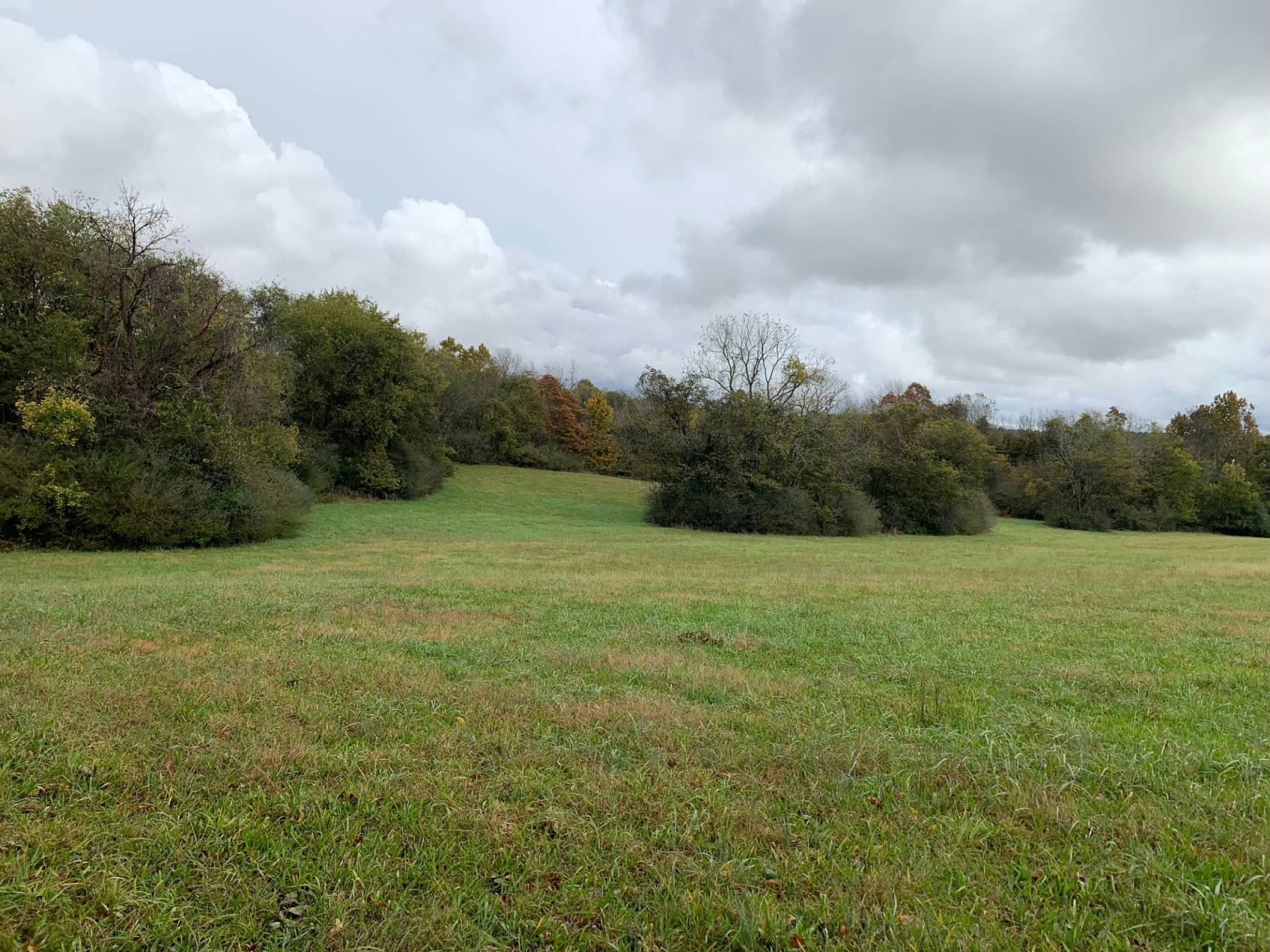 0 Hayes Denton Road Columbia, TN 38401 - Photo 11 of 20 a view of an outdoor space and yard