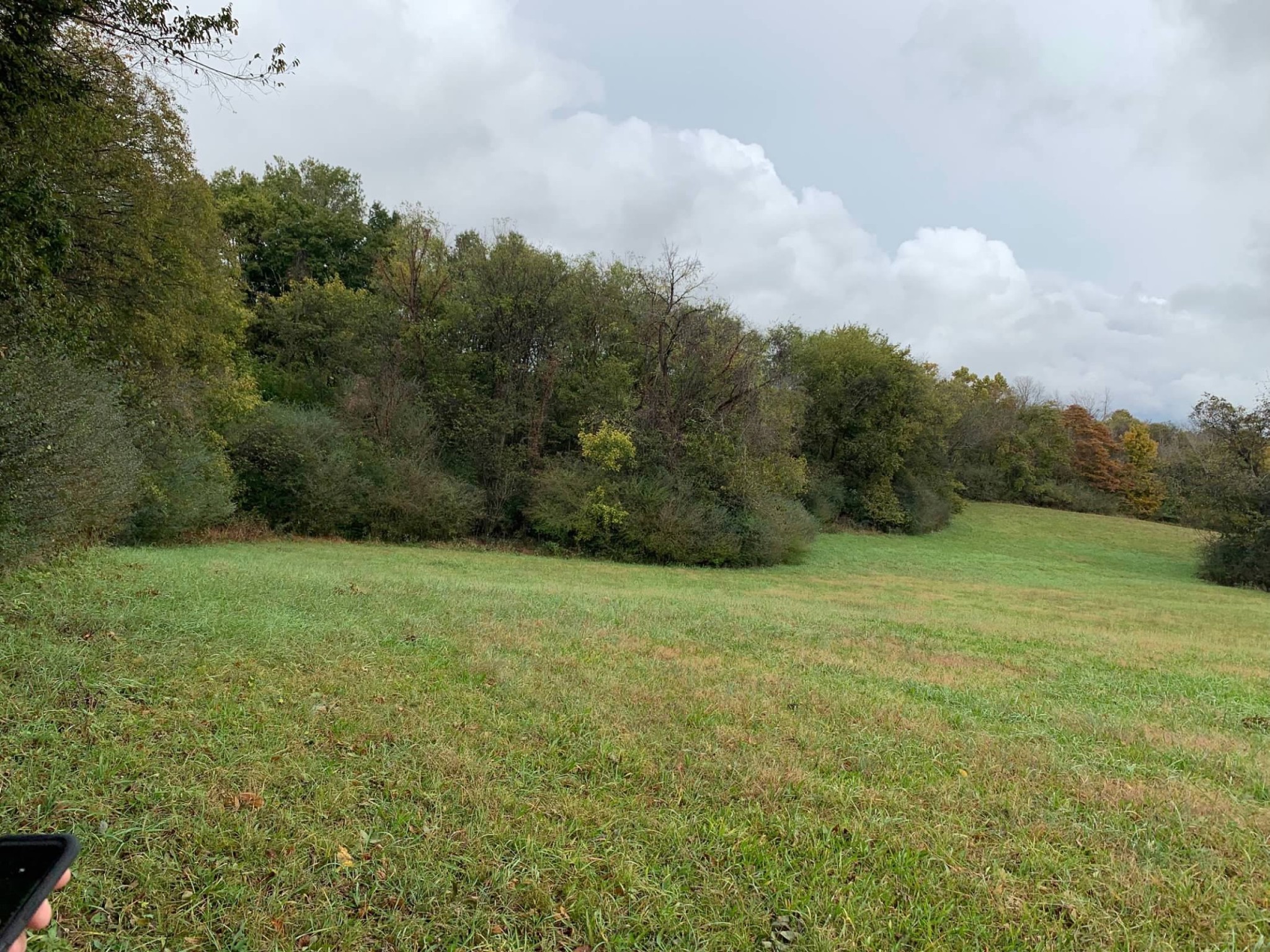 0 Hayes Denton Road Columbia, TN 38401 - Photo 12 of 20 a view of a big yard with lots of green space