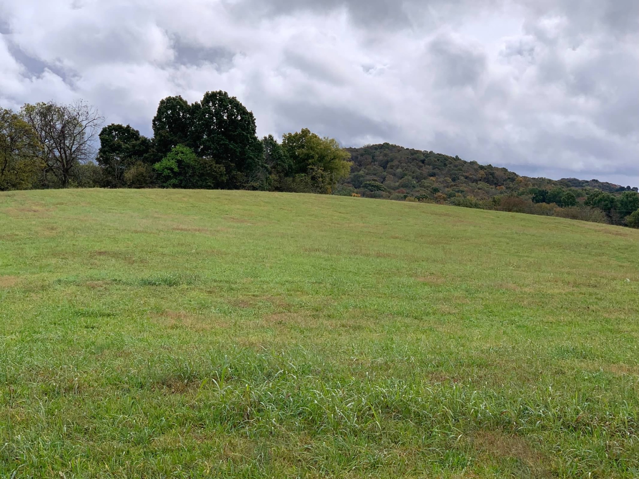 0 Hayes Denton Road Columbia, TN 38401 - Photo 13 of 20 a view of a lake