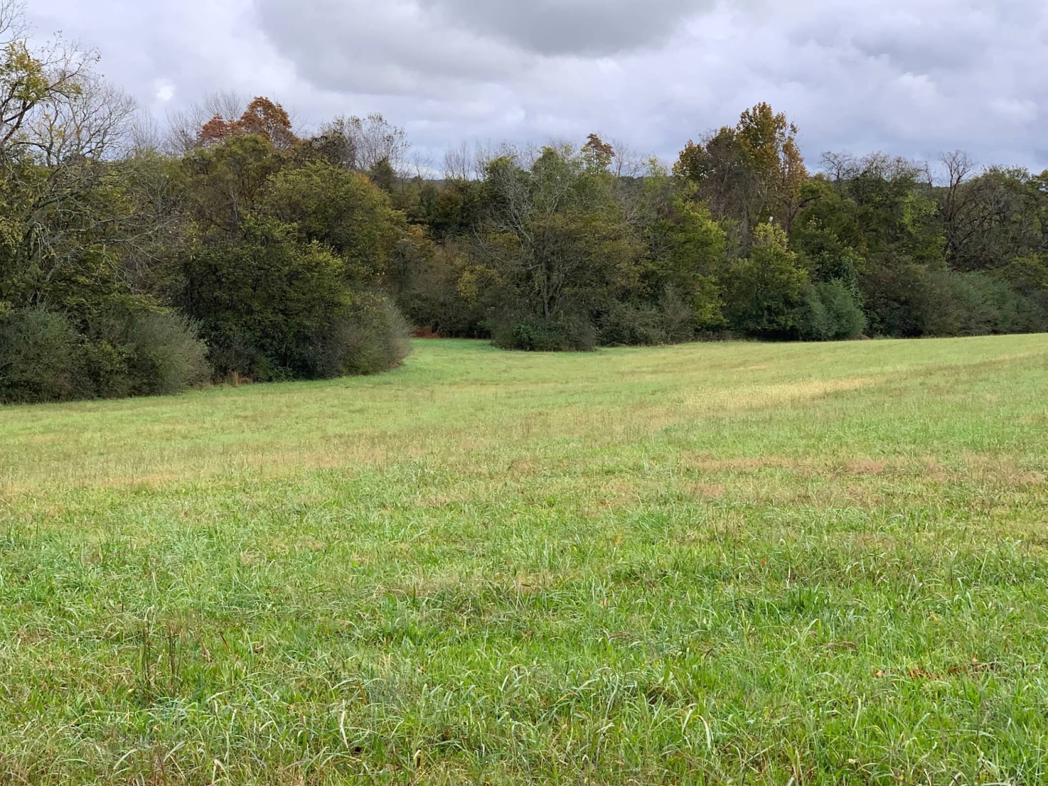 0 Hayes Denton Road Columbia, TN 38401 - Photo 14 of 20 a view of a field with an trees
