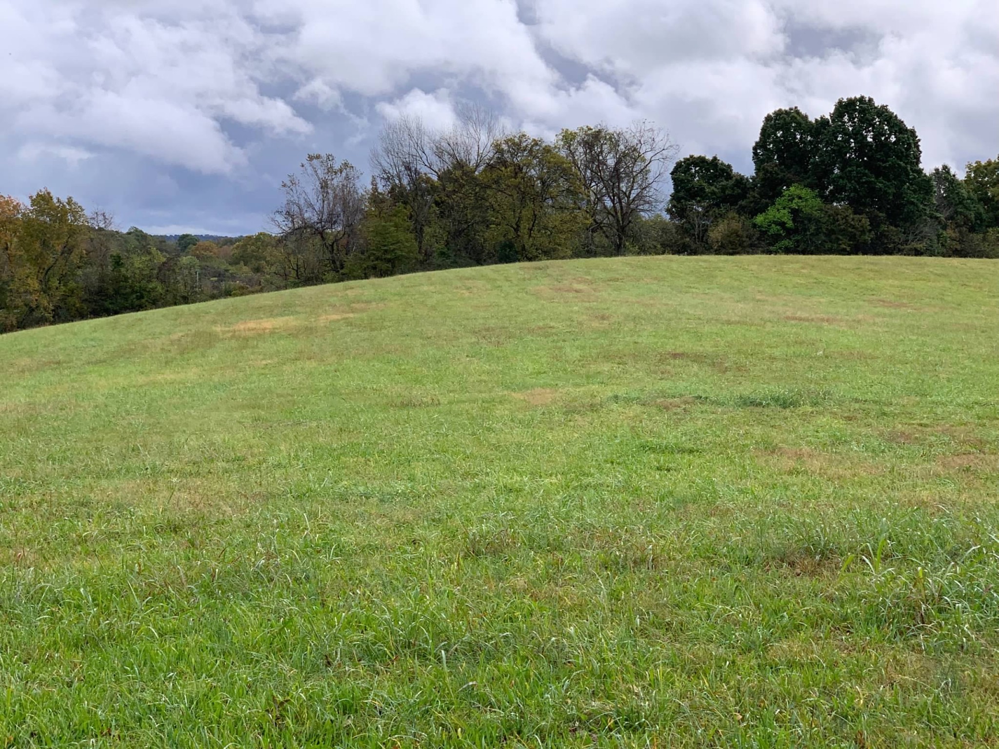 0 Hayes Denton Road Columbia, TN 38401 - Photo 15 of 20 a view of an outdoor space and a yard
