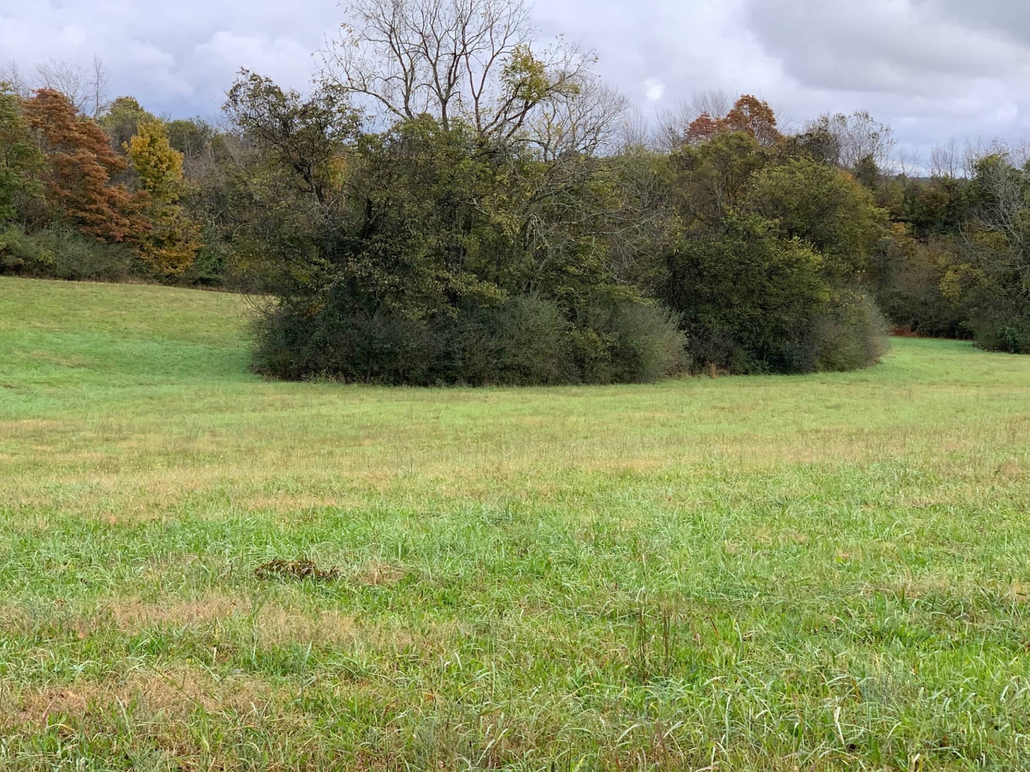 0 Hayes Denton Road Columbia, TN 38401 - Photo 16 of 20 a view of field with trees in the background