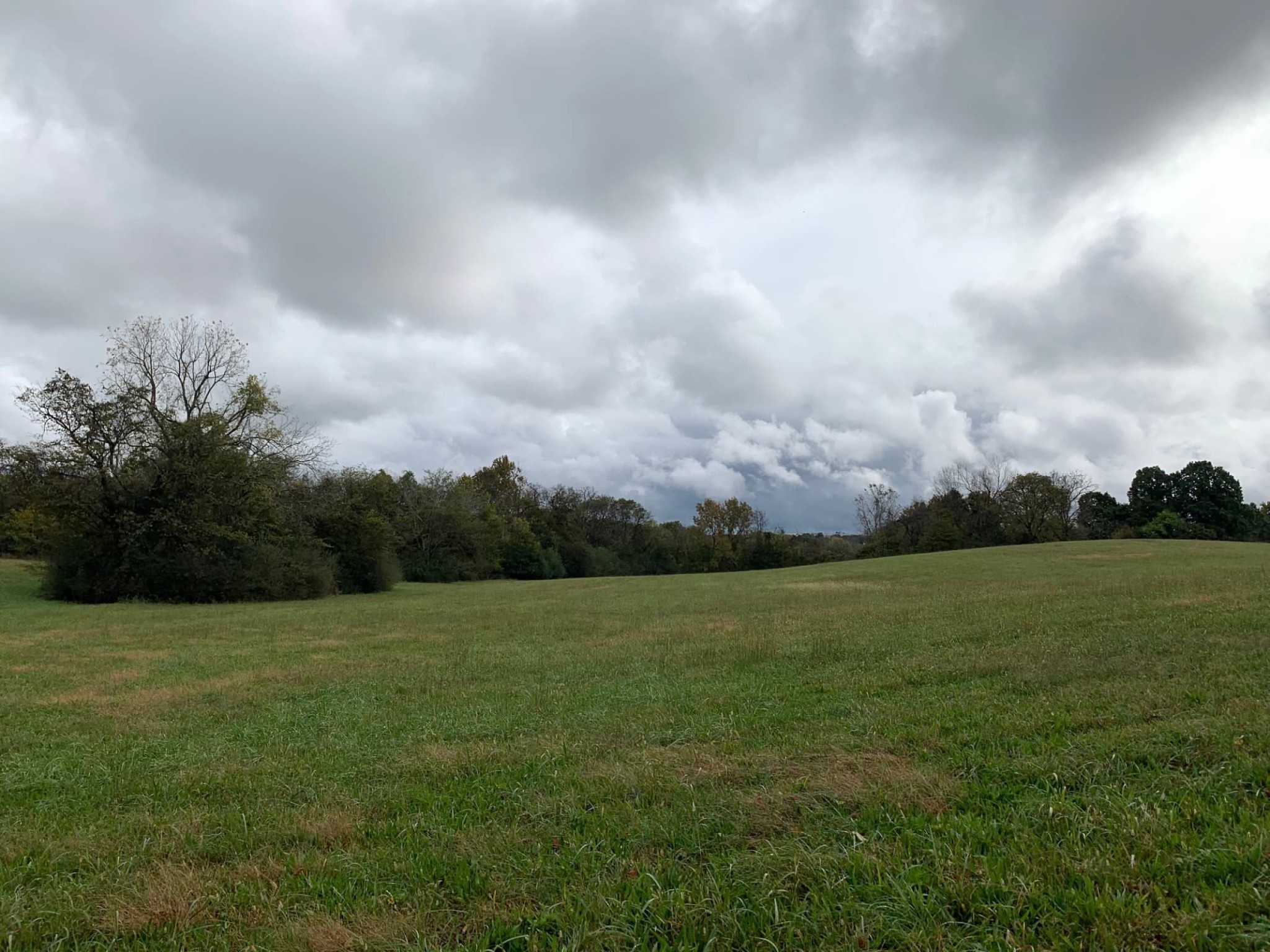 0 Hayes Denton Road Columbia, TN 38401 - Photo 18 of 20 a view of a field with an ocean