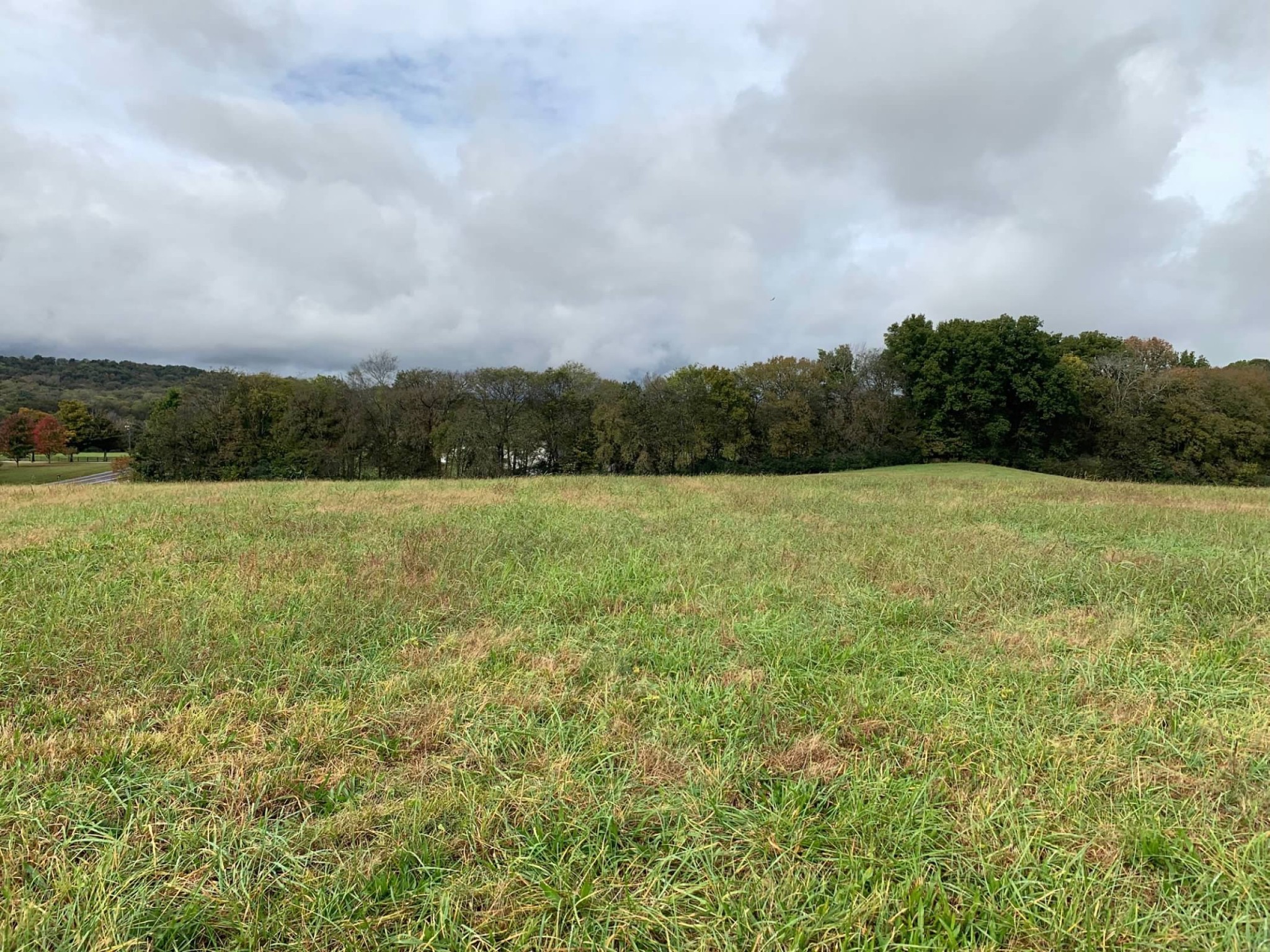 0 Hayes Denton Road Columbia, TN 38401 - Photo 3 of 20 a view of a field with an ocean view