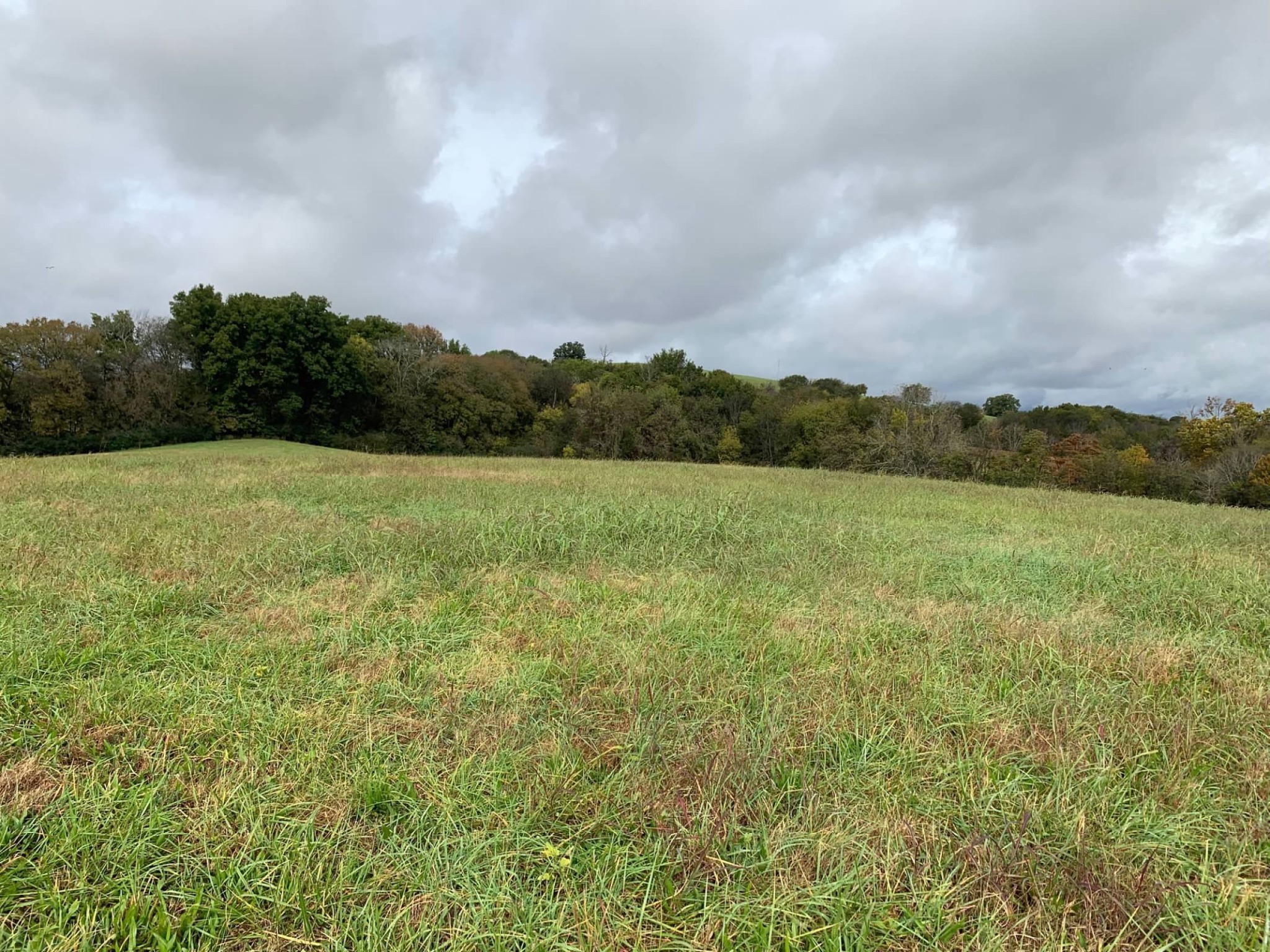 0 Hayes Denton Road Columbia, TN 38401 - Photo 4 of 20 a view of an outdoor space and a yard