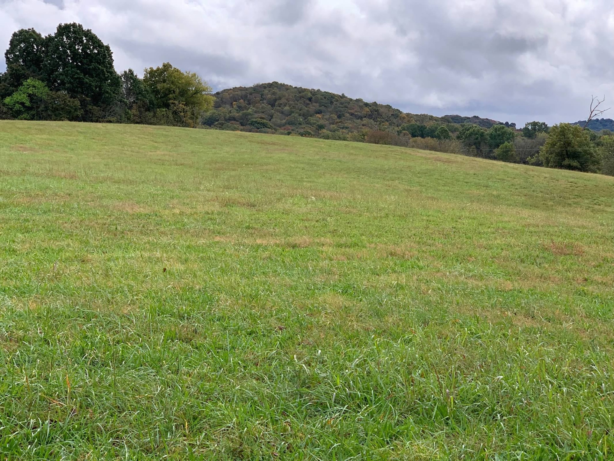 0 Hayes Denton Road Columbia, TN 38401 - Photo 5 of 20 a view of mountain with lake in background