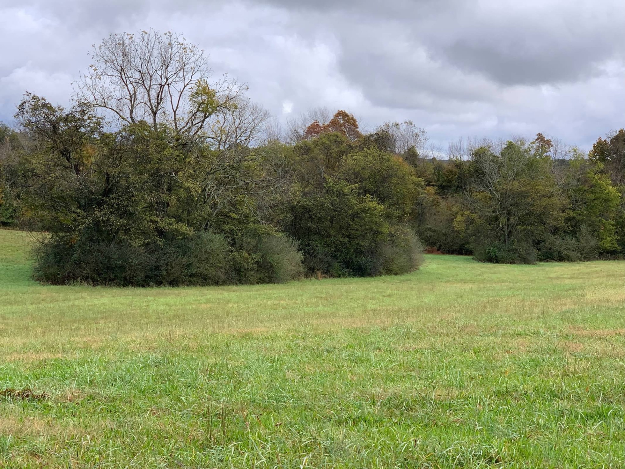 0 Hayes Denton Road Columbia, TN 38401 - Photo 6 of 20 a view of a field with an trees