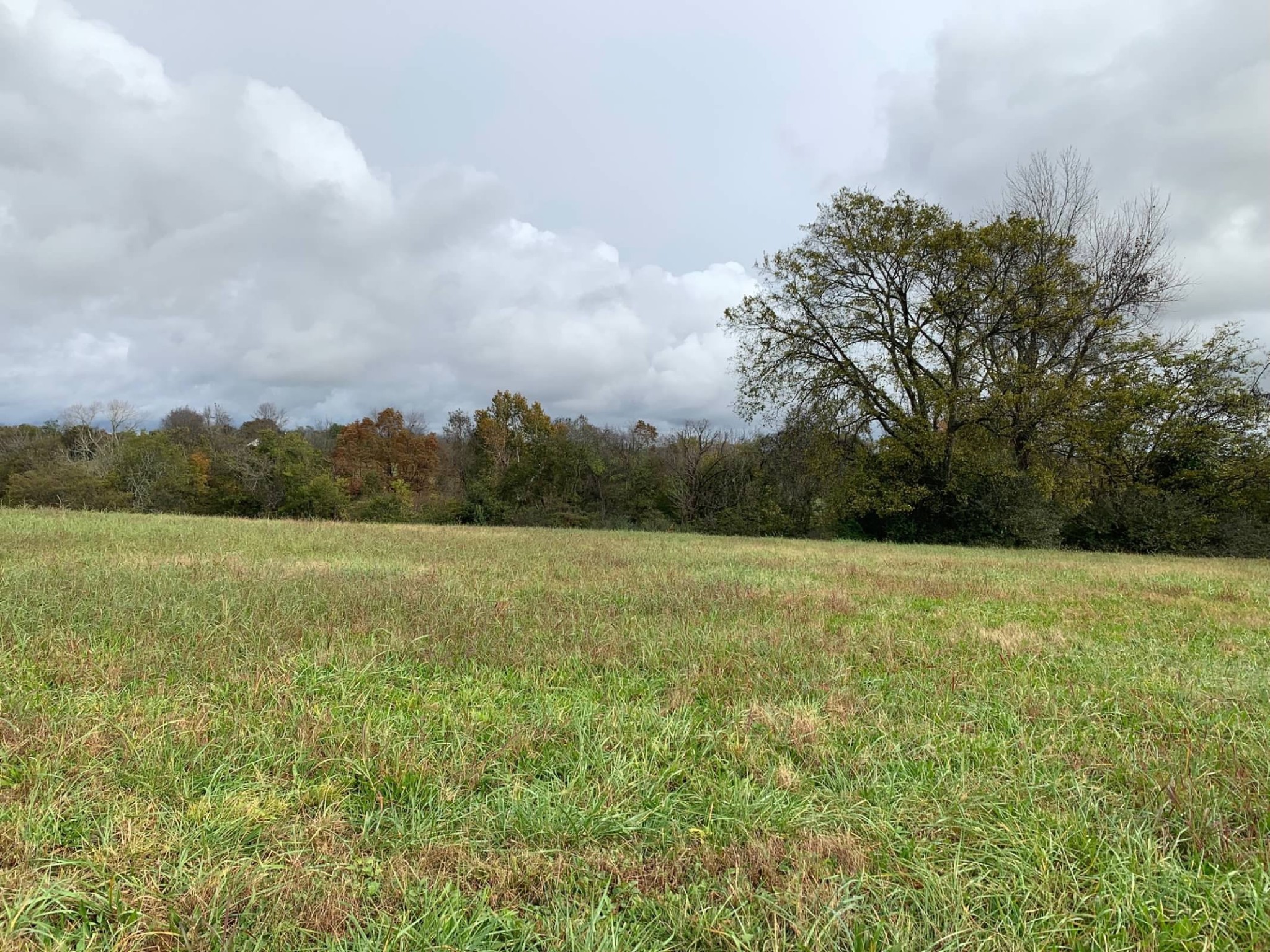 0 Hayes Denton Road Columbia, TN 38401 - Photo 7 of 20 a view of outdoor space and yard