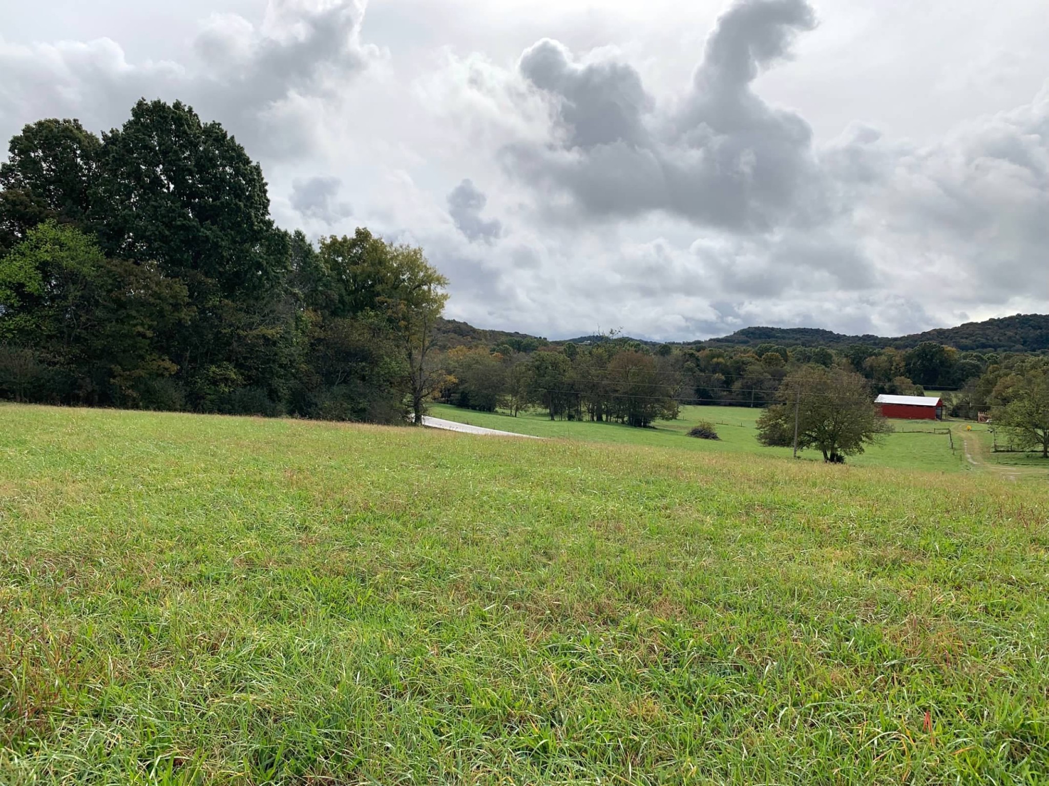 0 Hayes Denton Road Columbia, TN 38401 - Photo 9 of 20 a view of a green field with wooden fence