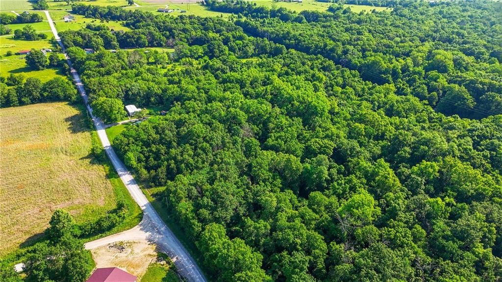 22207 South Excelsior Road Harrisonville, MO 64701 - Photo 24 of 38