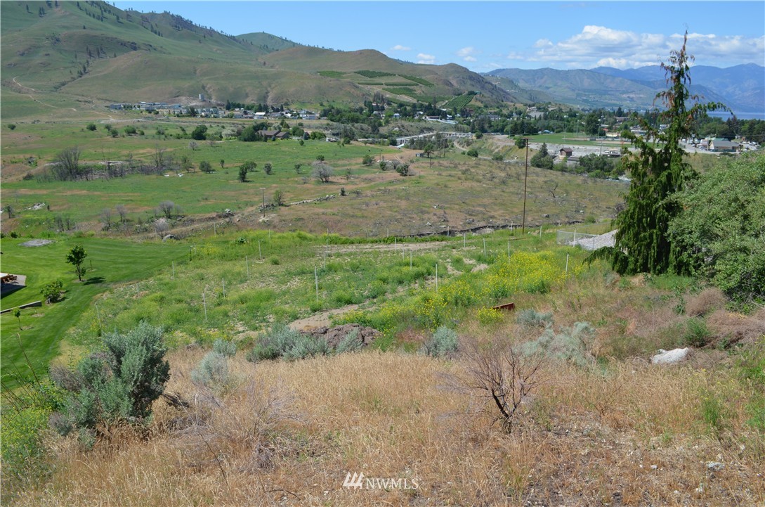 8 Riverview Cemetery Road Chelan, WA 98816 - Photo 2 of 12 Gallery Image 2