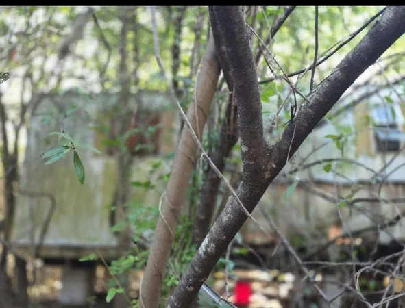 $99,500 | 750 North Arboleda Street, Clewiston, FL 33440