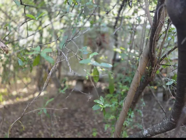 $99,500 | 750 North Arboleda Street, Clewiston, FL 33440