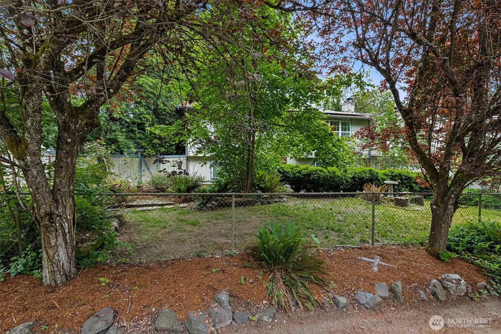 608 School Street Southeast Lacey, WA 98503 - Photo 25 of 26 a view of a park that has large trees