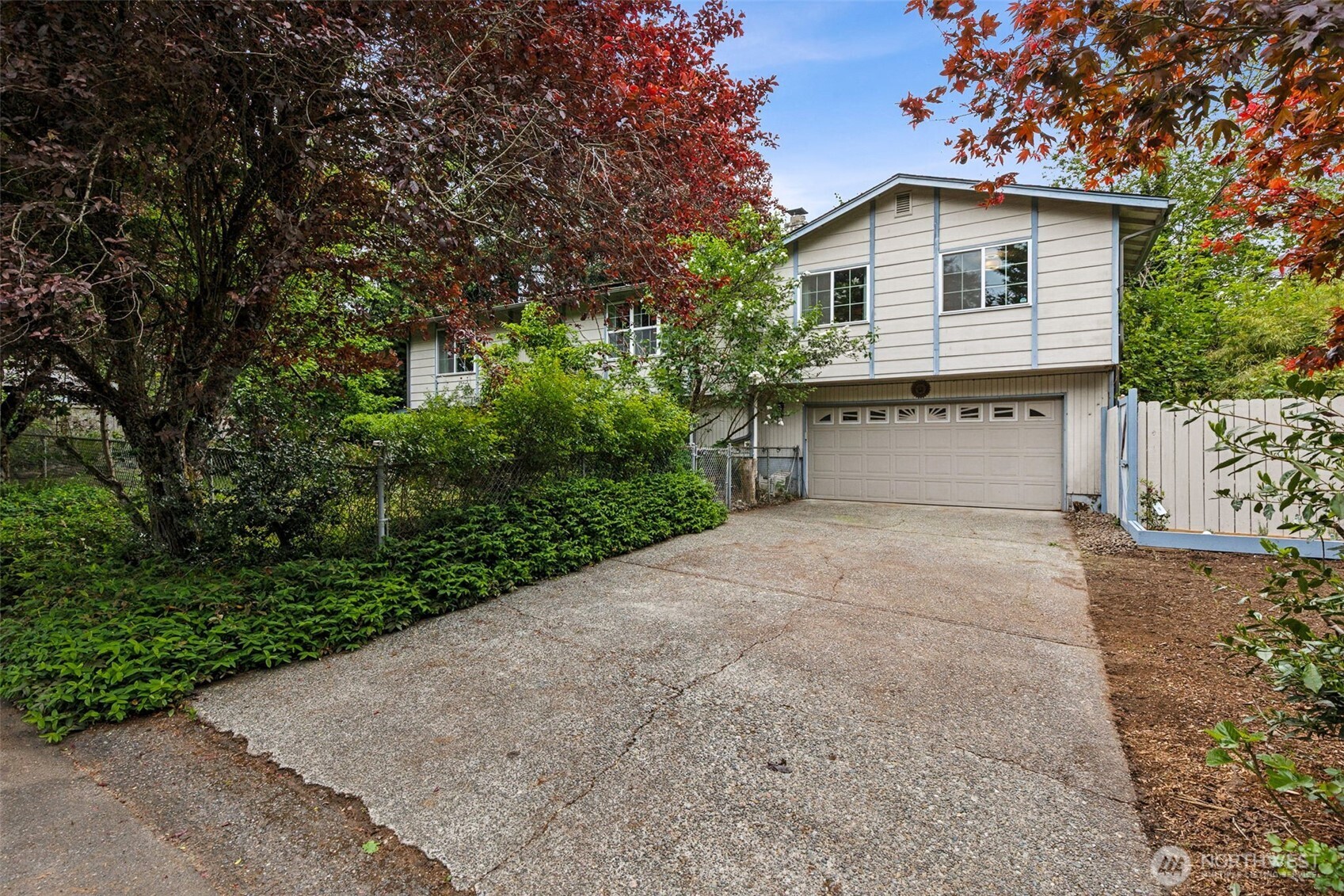 608 School Street Southeast Lacey, WA 98503 - Photo 3 of 26 a white house with a small yard plants and large trees