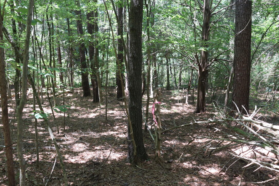 Lot C Camp Creek Road Lancaster, SC 29720 - Photo 10 of 10