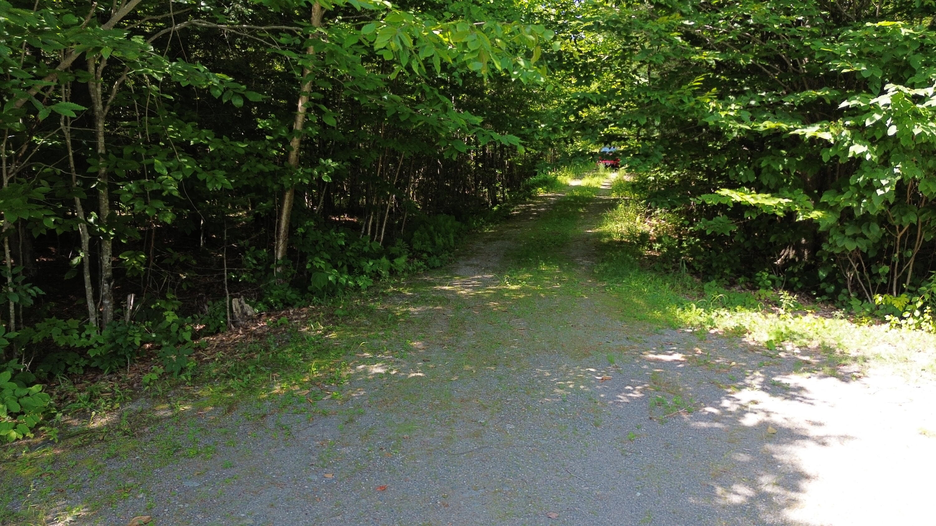 180 Jackson Pond Road Concord Township, ME 04920 - Photo 8 of 26 DJI_0571