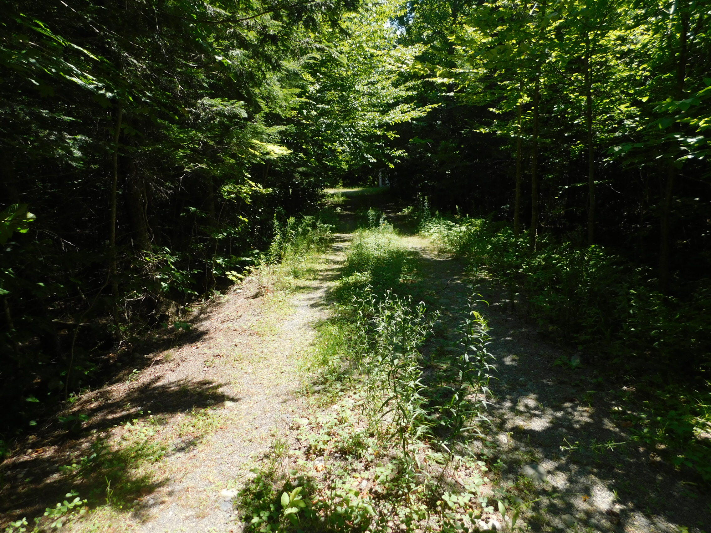 180 Jackson Pond Road Concord Township, ME 04920 - Photo 9 of 26 DSCN2676