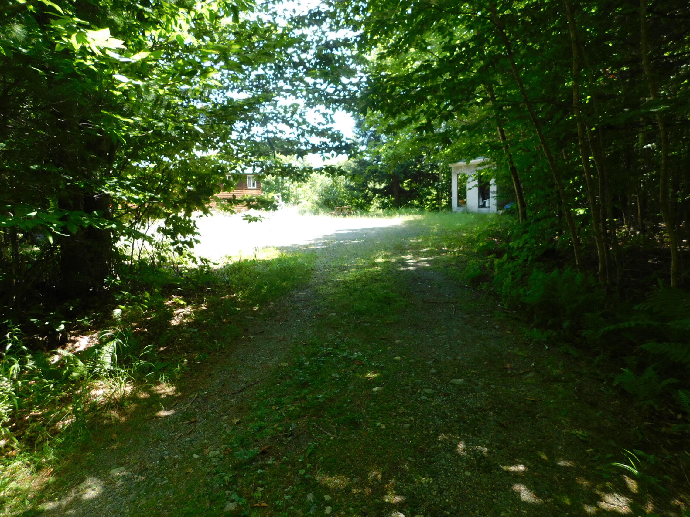 180 Jackson Pond Road Concord Township, ME 04920 - Photo 10 of 26 DSCN2677