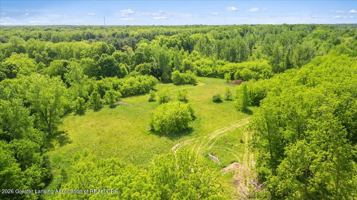 0 South Bridge Street Dimondale, MI 48821 - Photo 11 of 21 11-Media Jett - 02