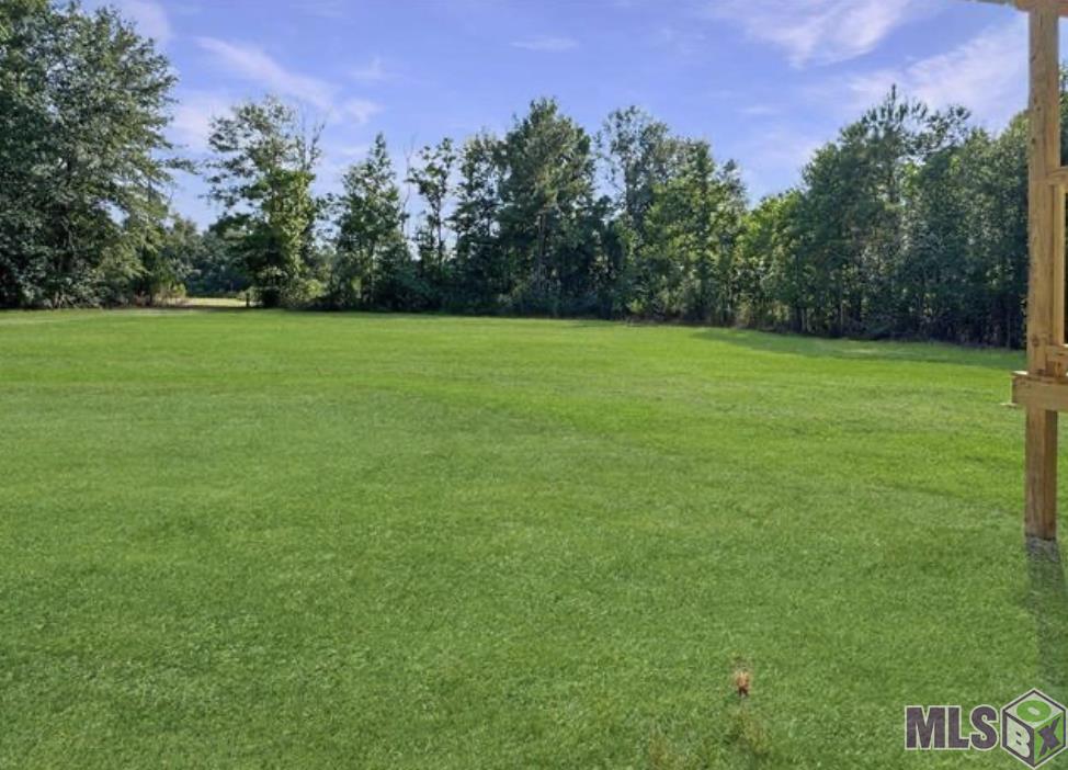 13488 Friendship Road Walker, LA 70785 - Photo 12 of 12