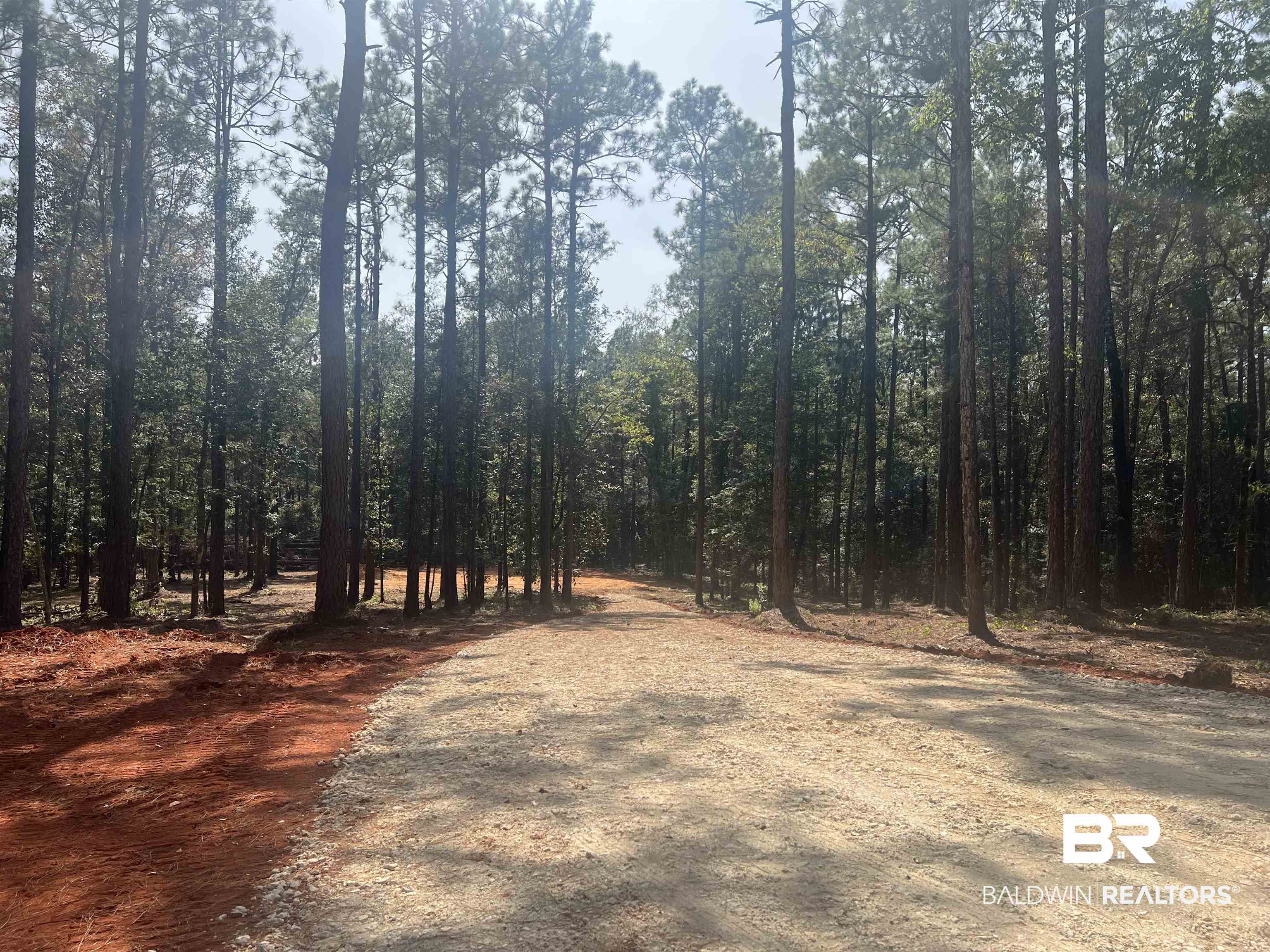 0 Highway 59 Stapleton, AL 36578 - Photo 1 of 5
