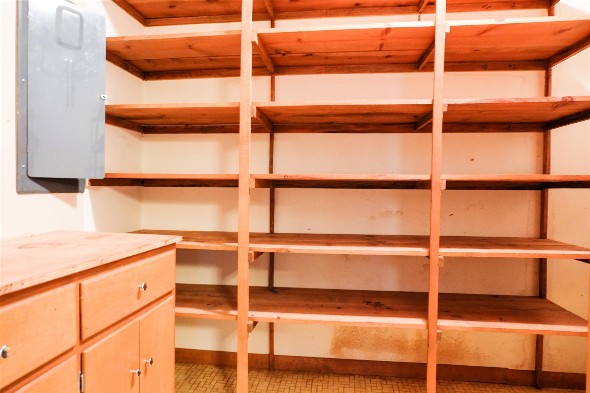 500 Higgins Road Wartrace, TN 37183 - Photo 12 of 23 Walk-in Pantry