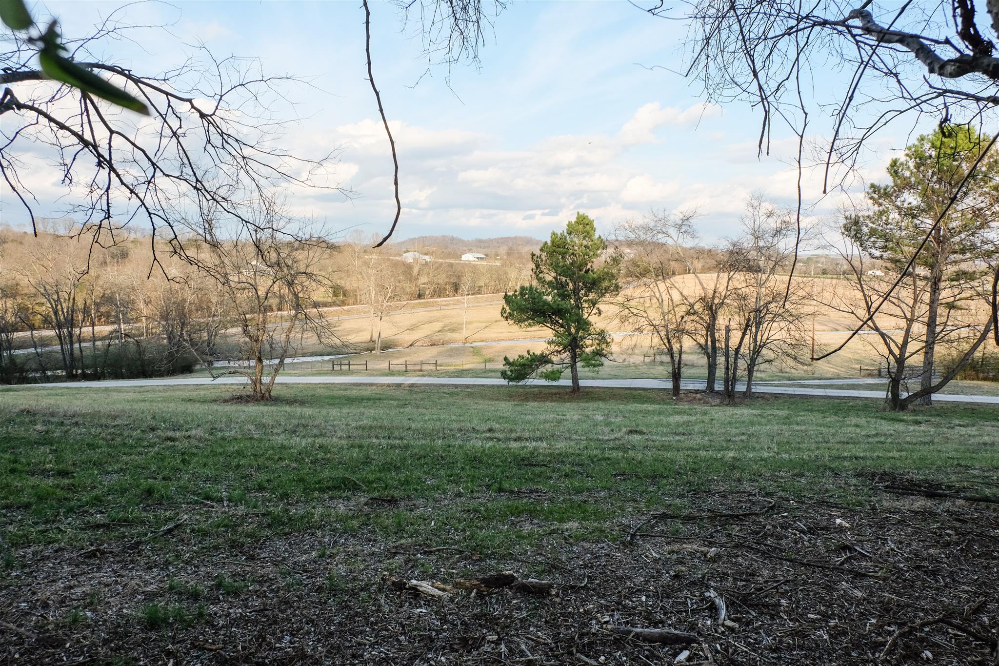 500 Higgins Road Wartrace, TN 37183 - Photo 7 of 23 Front Yard