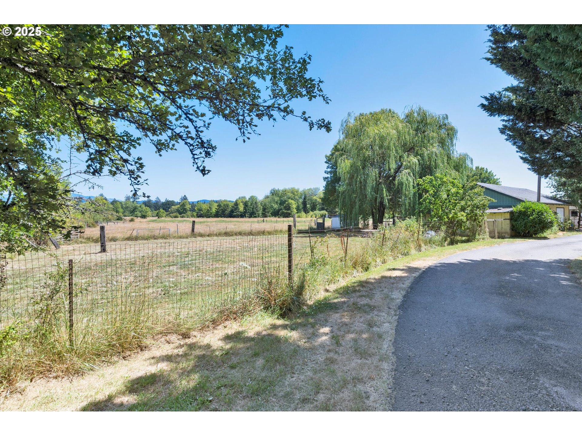 10025 Northeast Ward Road Brush Prairie, WA 98606 - Photo 28 of 33 a view of a yard with a tree