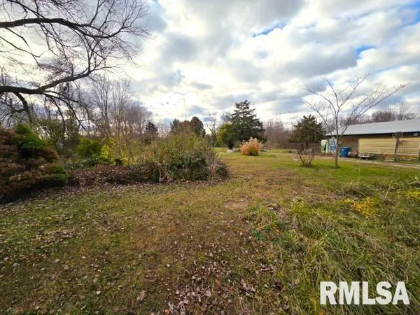 a view of a big yard with plants and large trees