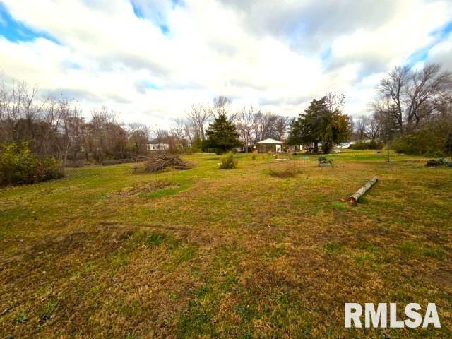 155 East 4th Street Bonnie, IL 62816 - Photo 11 of 26