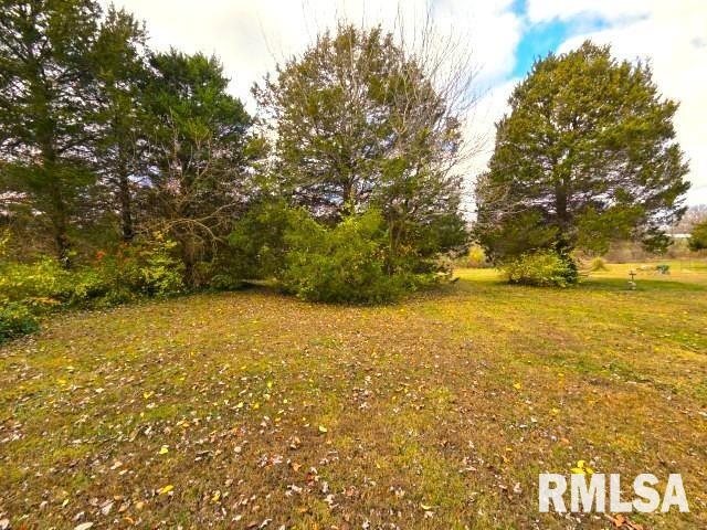 155 East 4th Street Bonnie, IL 62816 - Photo 15 of 26