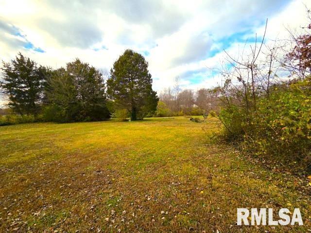 155 East 4th Street Bonnie, IL 62816 - Photo 17 of 26