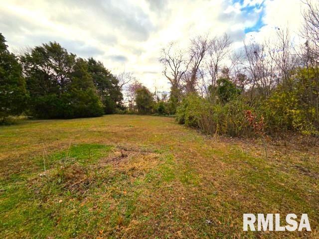 155 East 4th Street Bonnie, IL 62816 - Photo 9 of 26