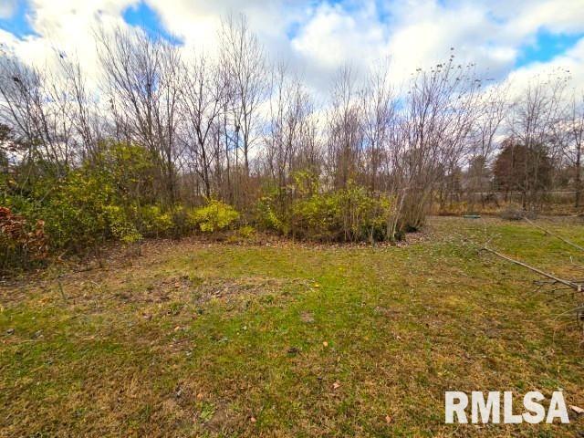 155 East 4th Street Bonnie, IL 62816 - Photo 10 of 26