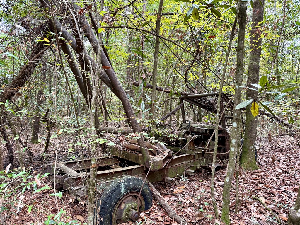 49-acres Mt Zion Road Gordon, AL 36343 - Photo 17 of 21