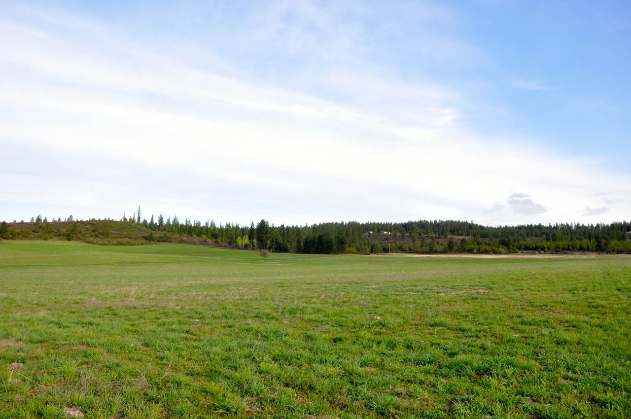9800 East Dunn Road Chattaroy, WA 99003 - Photo 11 of 20 Gallery Image 11