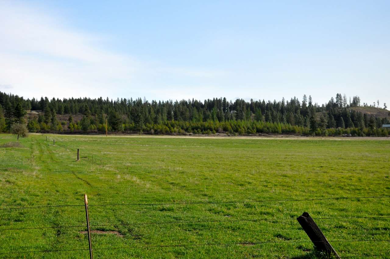 9800 East Dunn Road Chattaroy, WA 99003 - Photo 15 of 20 Gallery Image 15