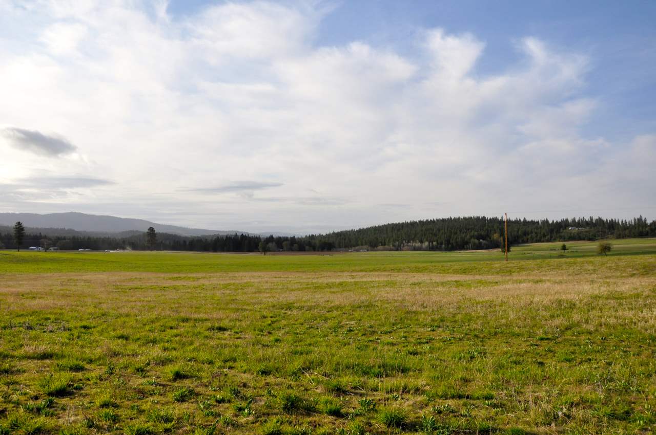 9800 East Dunn Road Chattaroy, WA 99003 - Photo 19 of 20 Gallery Image 19