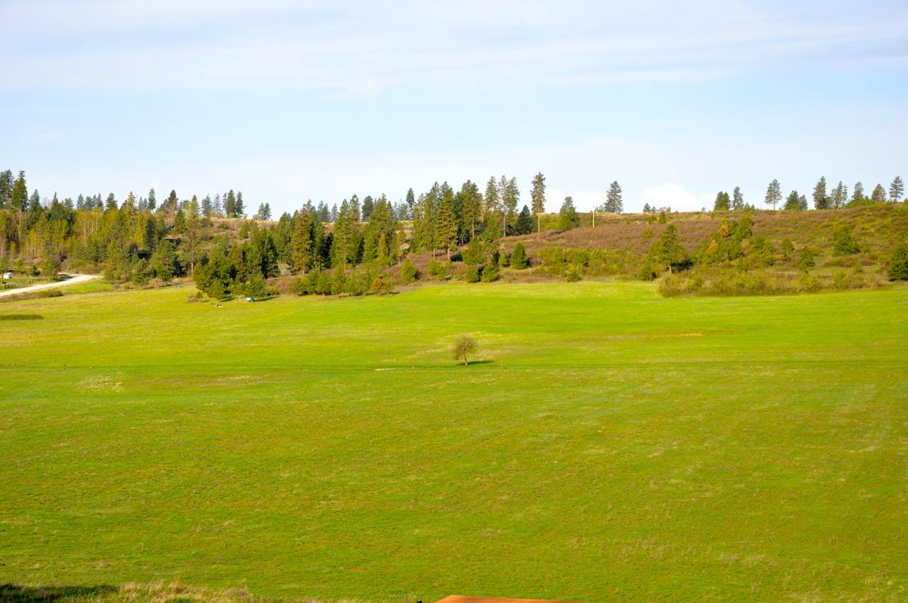 9800 East Dunn Road Chattaroy, WA 99003 - Photo 3 of 20 Gallery Image 3