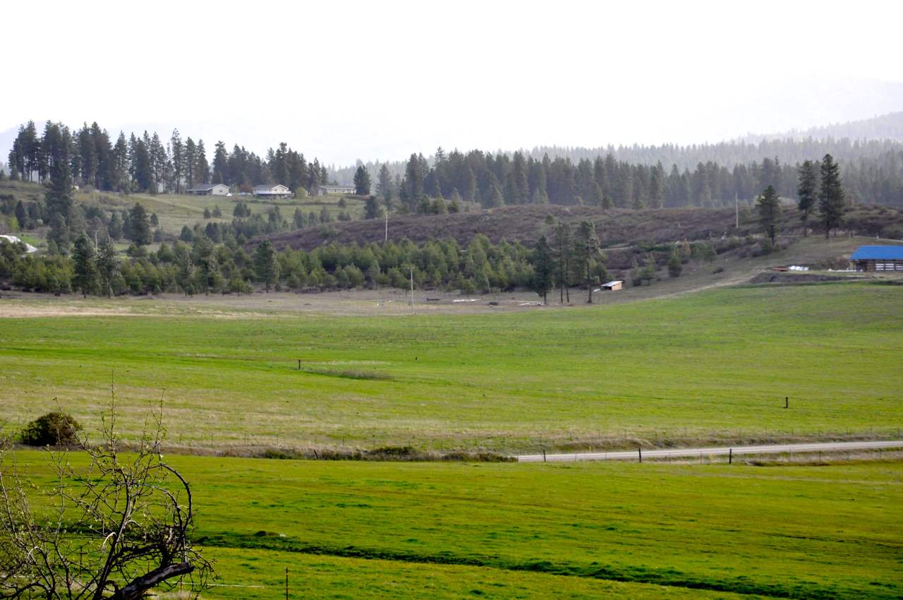 9800 East Dunn Road Chattaroy, WA 99003 - Photo 6 of 20 Gallery Image 6