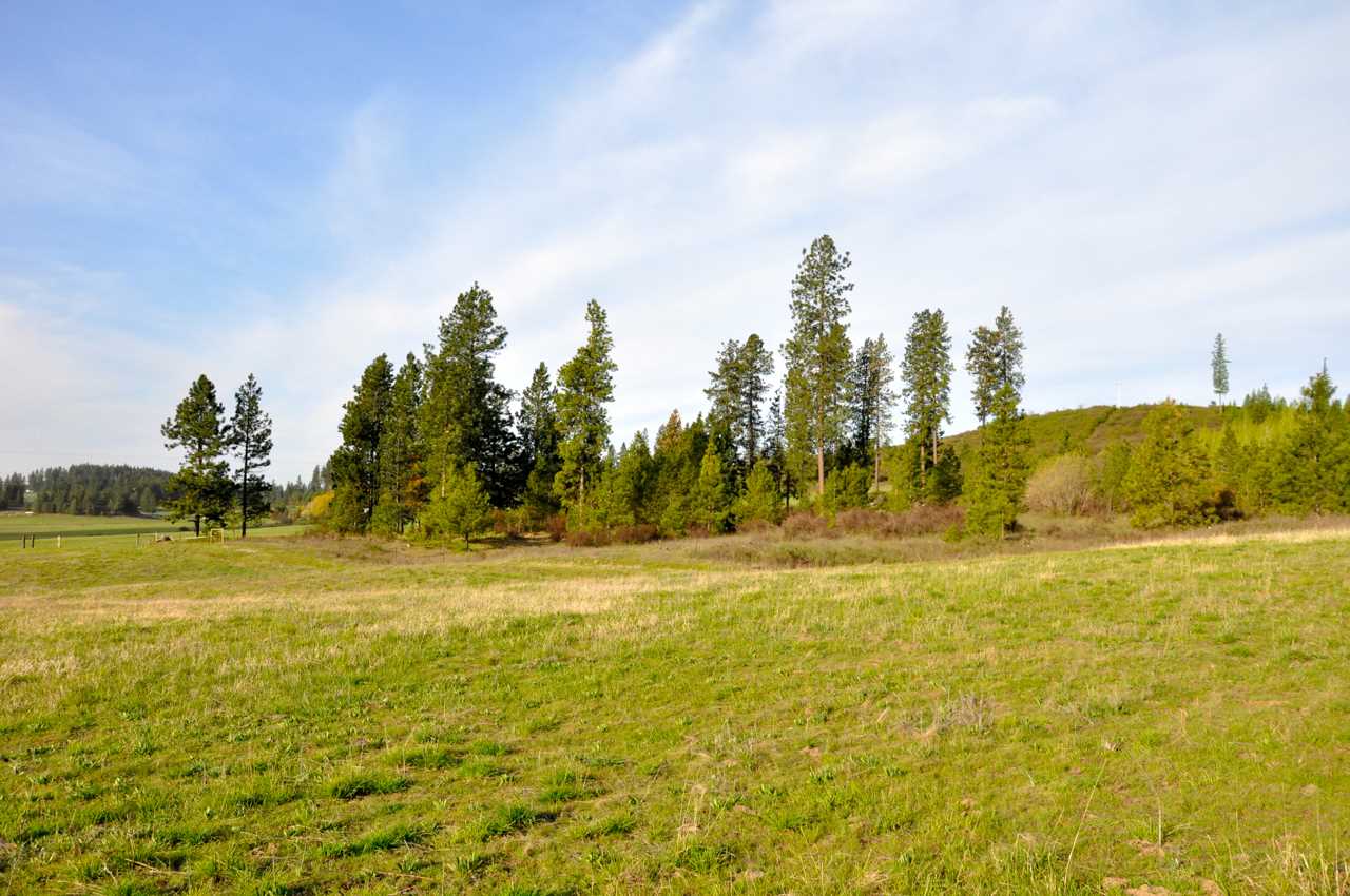 9800 East Dunn Road Chattaroy, WA 99003 - Photo 8 of 20 Gallery Image 8