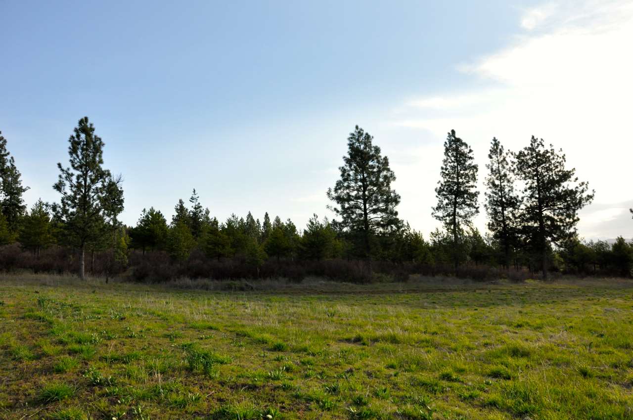 9800 East Dunn Road Chattaroy, WA 99003 - Photo 9 of 20 Gallery Image 9