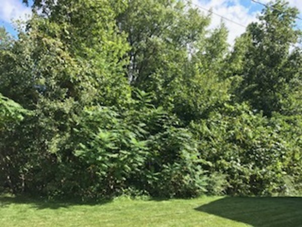 36 Lanesboro Road Worcester, MA 01606 - Photo 20 of 20 Gallery Image 20