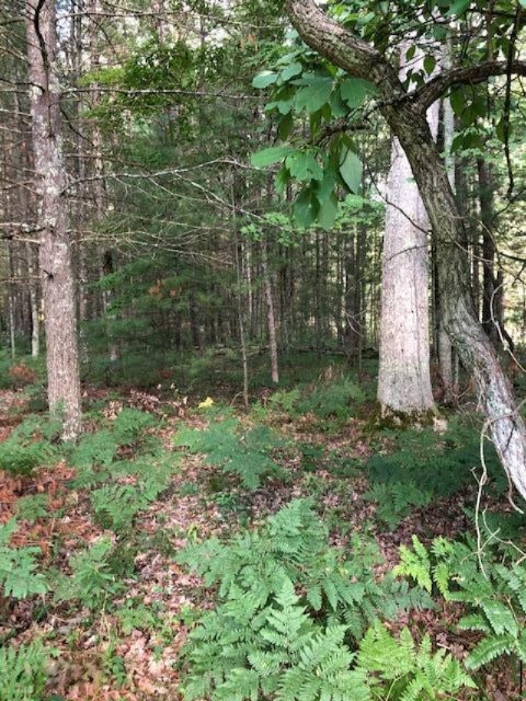 1020 South Taylor Road Branch, MI 49402 - Photo 2 of 7 IMG_5789