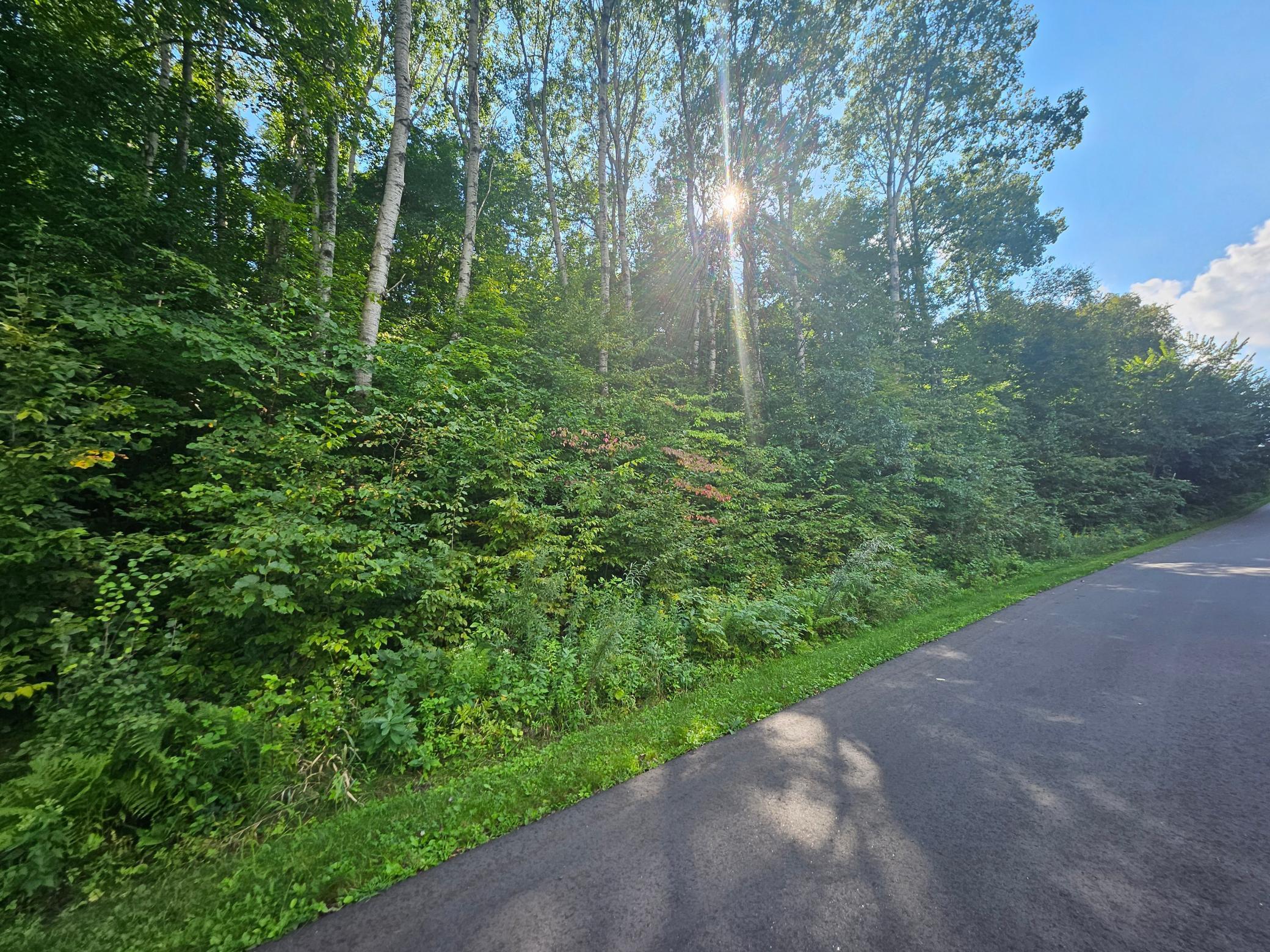 Tbd 263rd Street Shafer, MN 55074 - Photo 2 of 4