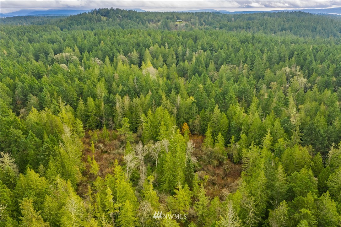 -14xx Neck Point Road Shaw Island, WA 98286 - Photo 2 of 19 a view of a lush green field