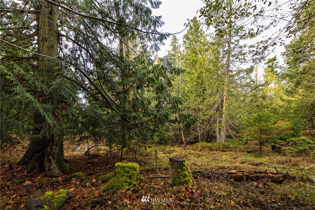 -14xx Neck Point Road Shaw Island, WA 98286 - Photo 11 of 19 a view of yard with green space
