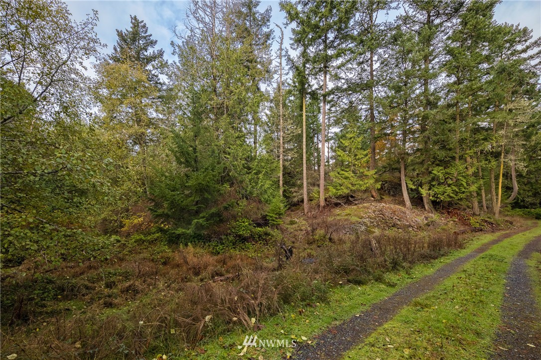 -14xx Neck Point Road Shaw Island, WA 98286 - Photo 12 of 19 a view of a forest with trees