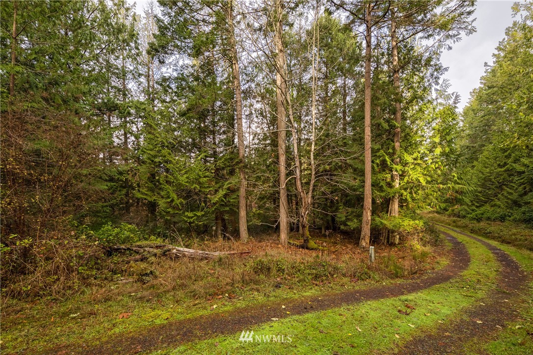 -14xx Neck Point Road Shaw Island, WA 98286 - Photo 13 of 19 a view of outdoor space and yard